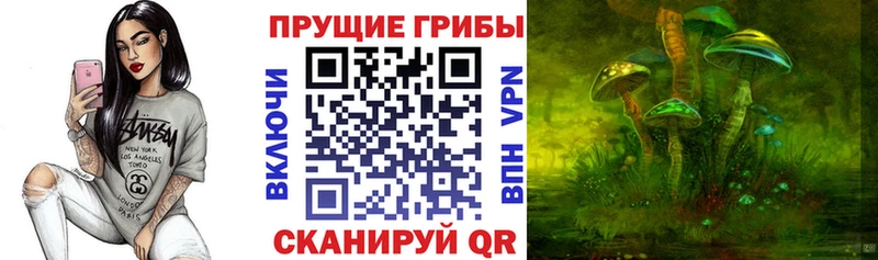 Псилоцибиновые грибы Psilocybine cubensis  Белая Калитва 